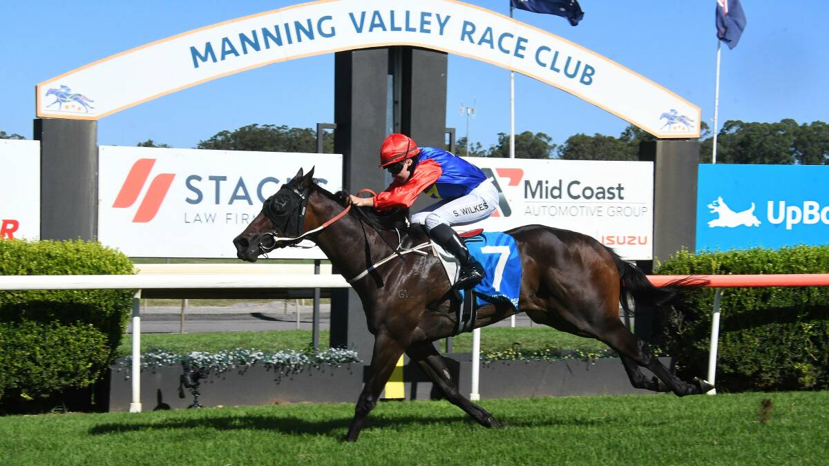 Apprentice Shae Wilkes steers Cool Duke to the line to win the Elsmere Pastoral Country Boosted Class 1 Handicap over 1250 metres at Taree this week. Cool Duke is trained by Wilkes' father, Wayne. 
