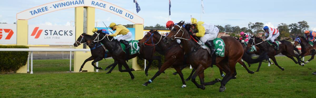 Who Is Game, trained at Taree by Michael Byers, win by a lip from Port Macquarie six-year-old gelding Star Of Legs in last year's Winghan Cup.
