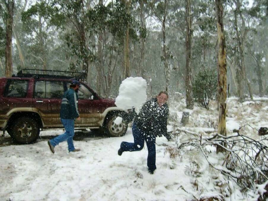 Let it snow: Flashback to a snow ball fight on Barrington Tops. Pic: barringtontopstourism.com.au
