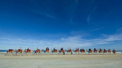 Another quirky activity in Broome: Ride a camel along Cable Beach. Photo: supplied by John Rozentals