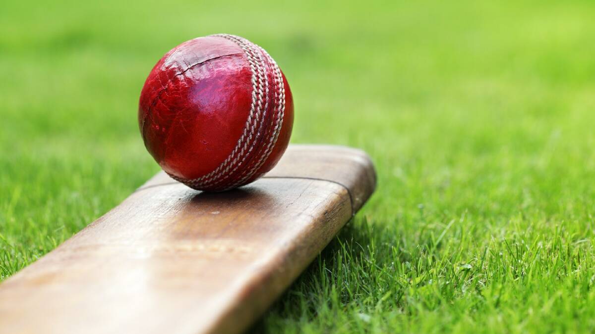 Wingham Cricket Club news