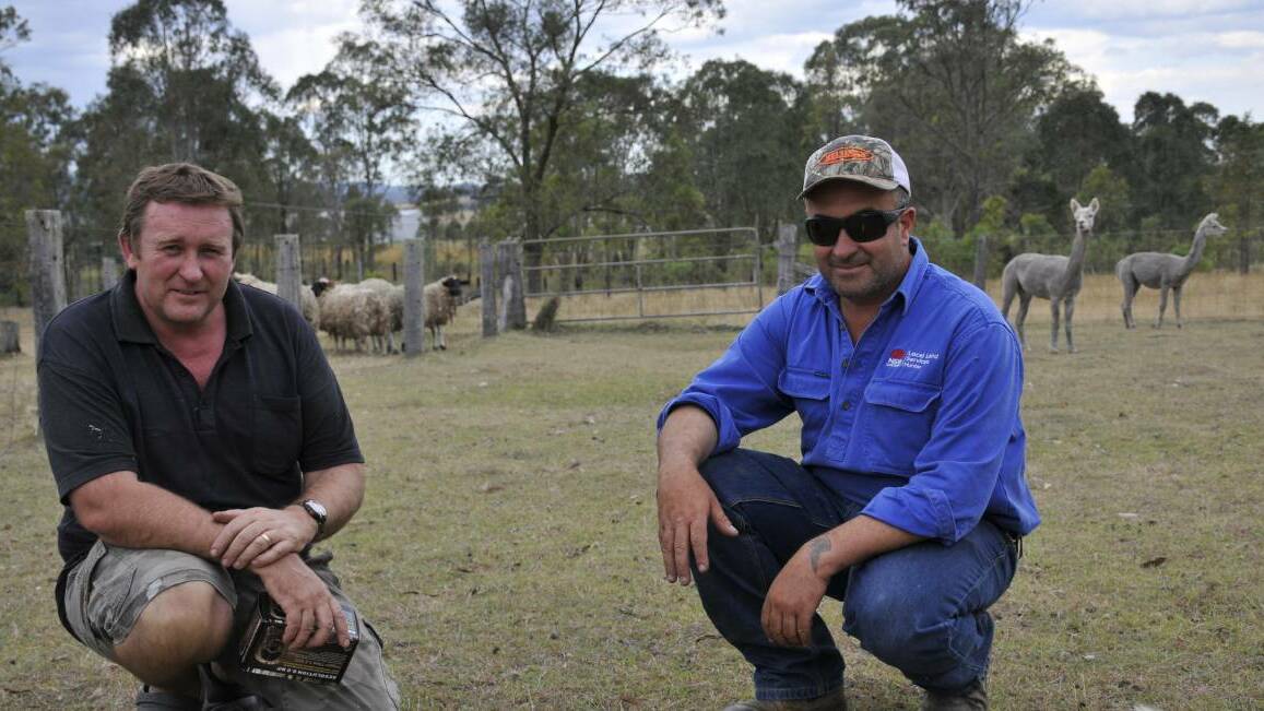 ATTACKS: Landholder Leroy Woods with Richard Ali, senior bio-security officer Hunter LLS, on the Woods family property at Lower Belford where dogs have attacked and killed sheep.