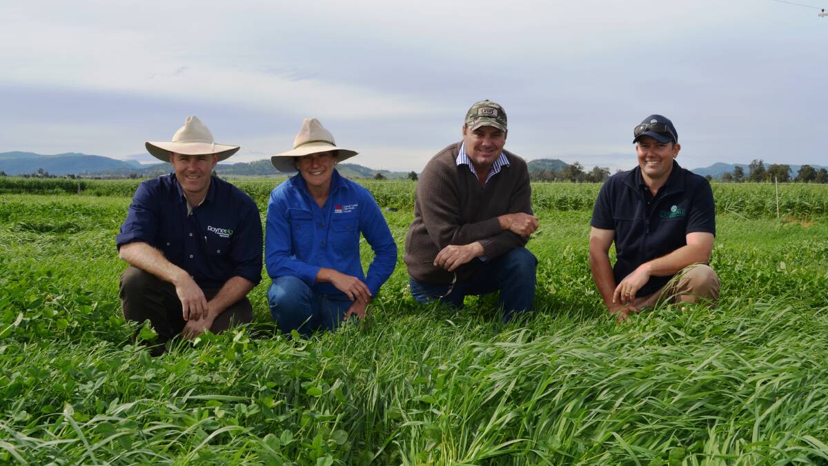 What's Your Beef Workshop presenters, Alastair Rayner, RaynerAg, Sarah Giblin, Hunter LLS, Robert Teague, Ellerston and Daniel Clydsdale, Clydsdale Rural