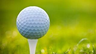 Wingham Golf Club report