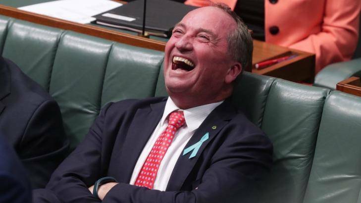 Agriculture Minister Barnaby Joyce. Photo: Andrew Meares