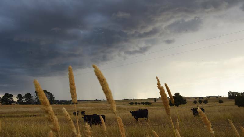 A line of storms stretching from Broken Hill, Echuca and the Victorian town of Port Albert will be joined by storms that are moving along a low and upper-pressure trough across the eastern parts of southern Australia. Photo: Nick Moir.
