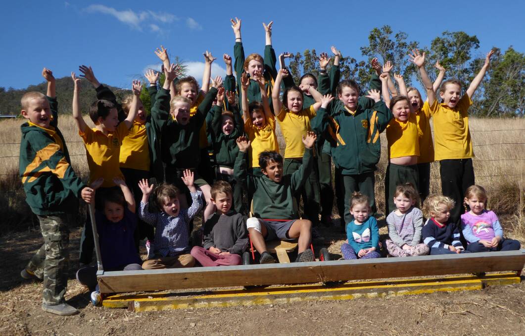 On your marks: The children of Mount George Public School are all geared up for a big day on Saturday with the Back to Mount George Festival and billy cart derby.