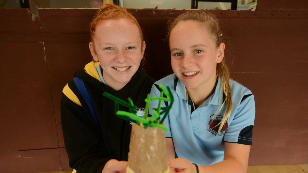 Add colour: Wingham Public School year six students Lacey Kelly and Lilia Taylor say we need more trees in the main street of Wingham to make it more colourful.