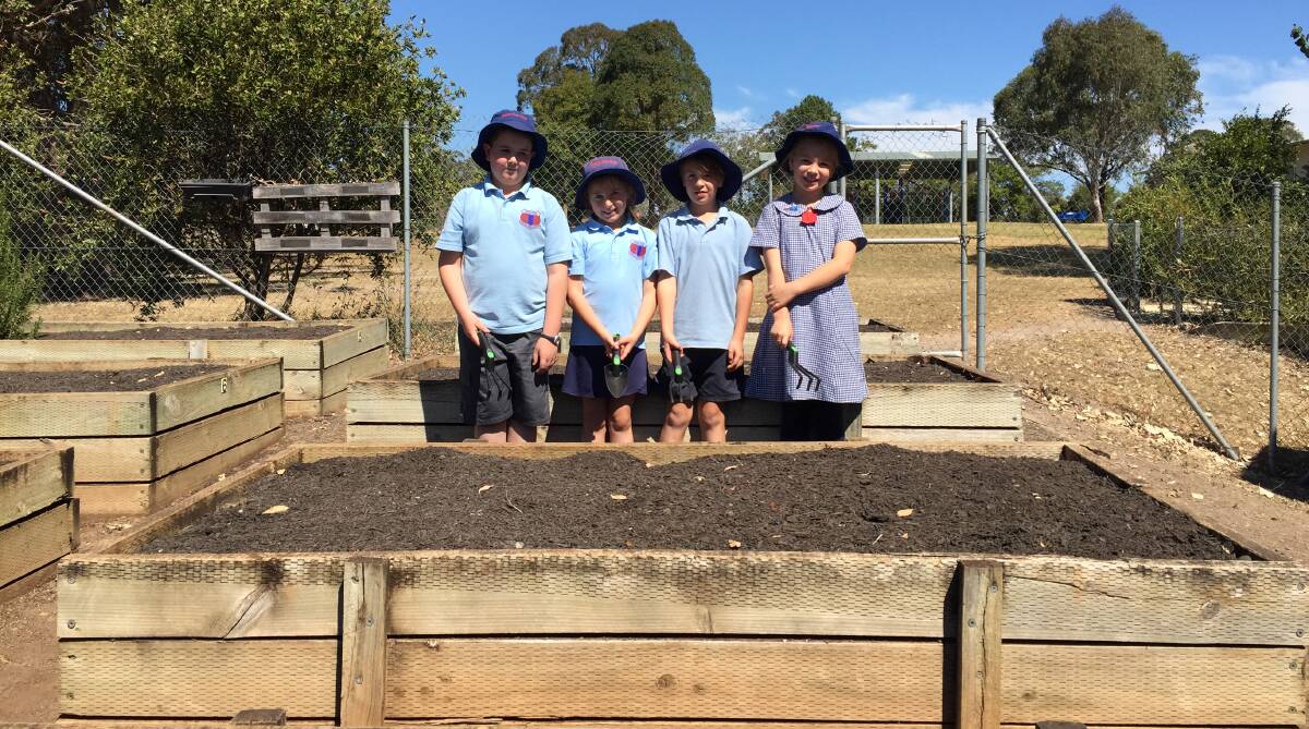 Elijah Hartas, Lara Ferris, Braydn Garrett and Kodie Ward of Wingham Public School are ready to get their vegie garden up and running - they just need some grown up help with the project.
