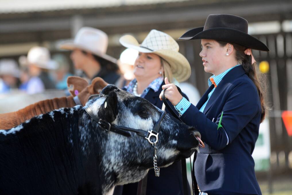 Competition: The 2018 Wingham Beef Week offers a full program of events from May 14-18. Hundreds of students will compete throughout the week with led and unled sections showcasing the best beef cattle around.
