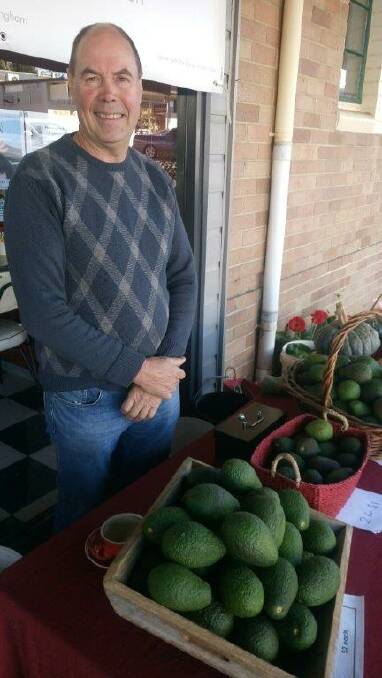 Avocado producer Ron Lindsay will be selling his avocadoes at the Wingham Farmers' Market fresh from the Comboyne plateau.