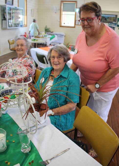Green thumb: Tinonee Red Cross president, Judy Cluss (standing) with Norma Watson of Forster-Tuncurry branch, winner of the plant stand and pot plant raffle with fellow Forster member Ruth Moore.