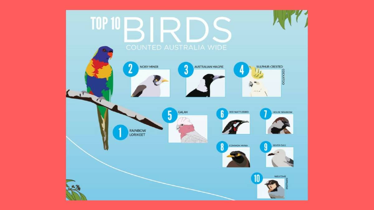 The top 10 birds recorded in last year's annual count.