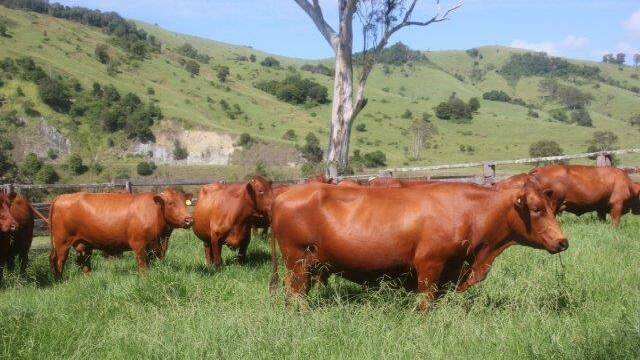 New Landholder Day for beef producers
