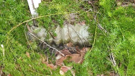 Asbestos can be found anywhere. This garden edging found in a MidCoast garden should be left undisturbed or removed only following the guidelines for safe handling and disposal of asbestos