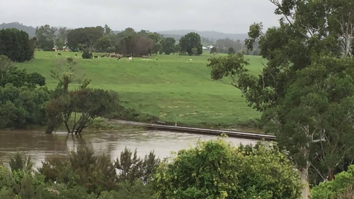 Bridge closed: The Bight Bridge at Wingham on Monday morning, March 20. The bridge is no longer inundated, but remains closed to traffic. Photo: Sam Brownrigg