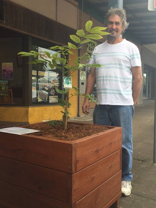PLANTER BOXES: Chamber of Commerce member Peter Trood says it's all about beautifying the community. Photo: Julia Driscoll
