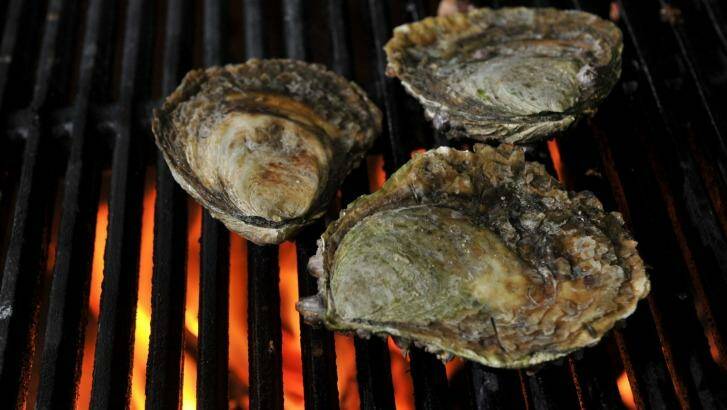 Hot stuff: Angasi oysters. Photo: Graham Tidy
