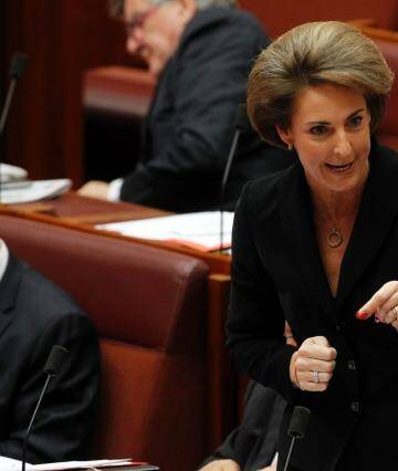 Michaelia Cash will announce a workplace gender equality strategy on Wednesday. Photo: Andrew Meares