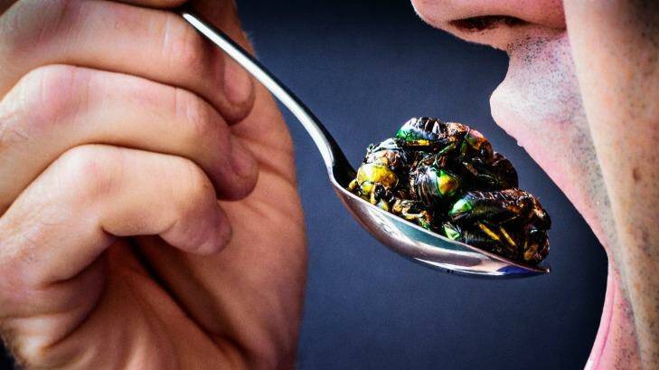 Something buggin' you? Eat them. Photo: David Reist
