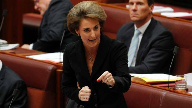 Michaelia Cash, Minister Assisting the Prime Minister for Women, has said a royal commission into domestic violence is unnecessary.  Photo: Andrew Meares