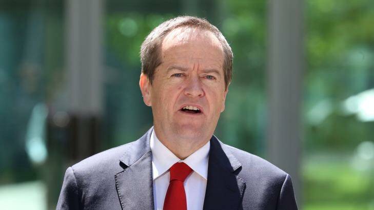 Labor leader Bill Shorten has called Greens leader Christine Milne, asking her to remove the image - "when Gough was making these changes, the Greens didn't exist". Photo: Andrew Meares