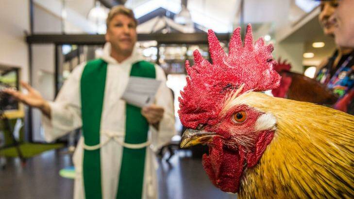Father Olaf Anderson at the annual Blessing of the Animals at the RSPCA in Wacol. Photo: Glenn Hunt