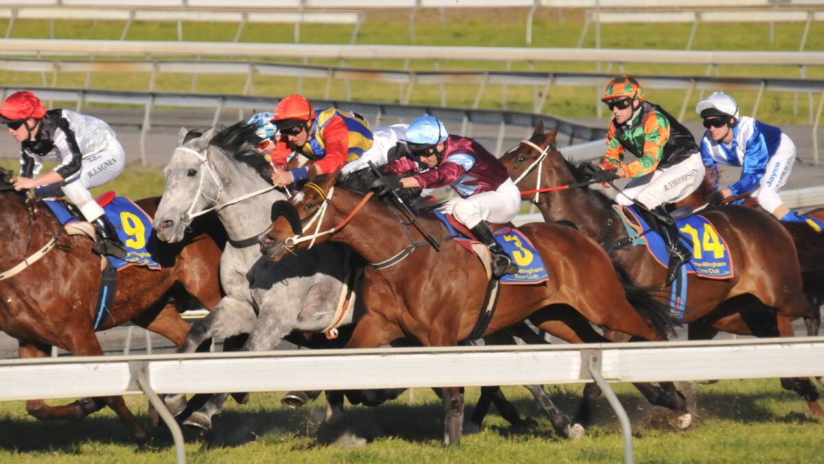 Strong nominations for Taree-Wingham race meeting