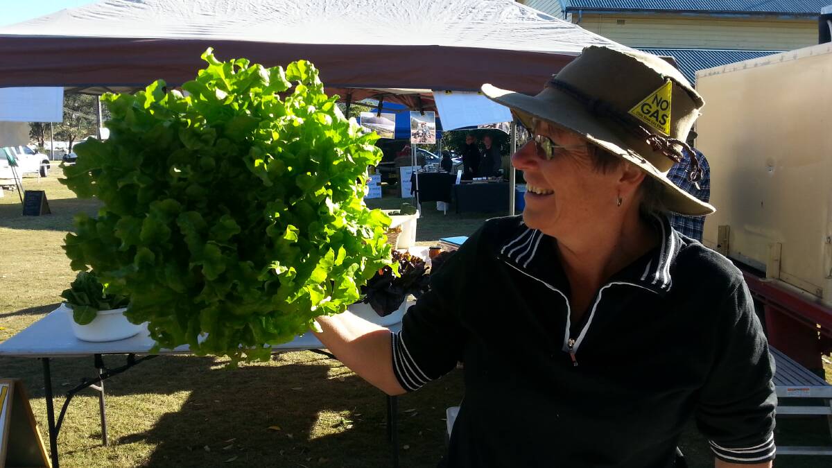 Fine produce: Lyn Booth at Wingham Farmers Market.