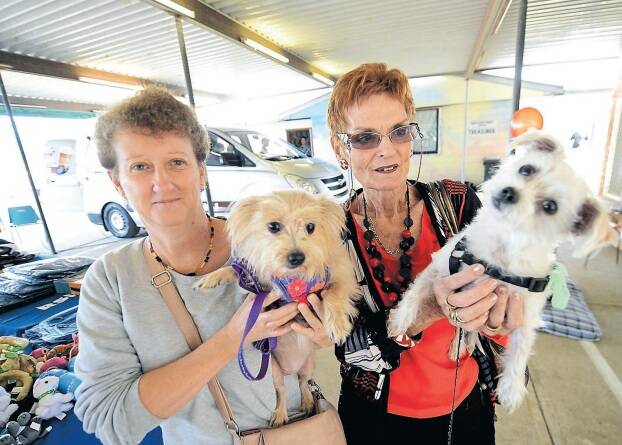Kate Clinch and Julie Rice with Pipa and Lucy. This year marks the 23rd year of the Million Paws Walk nationally. 