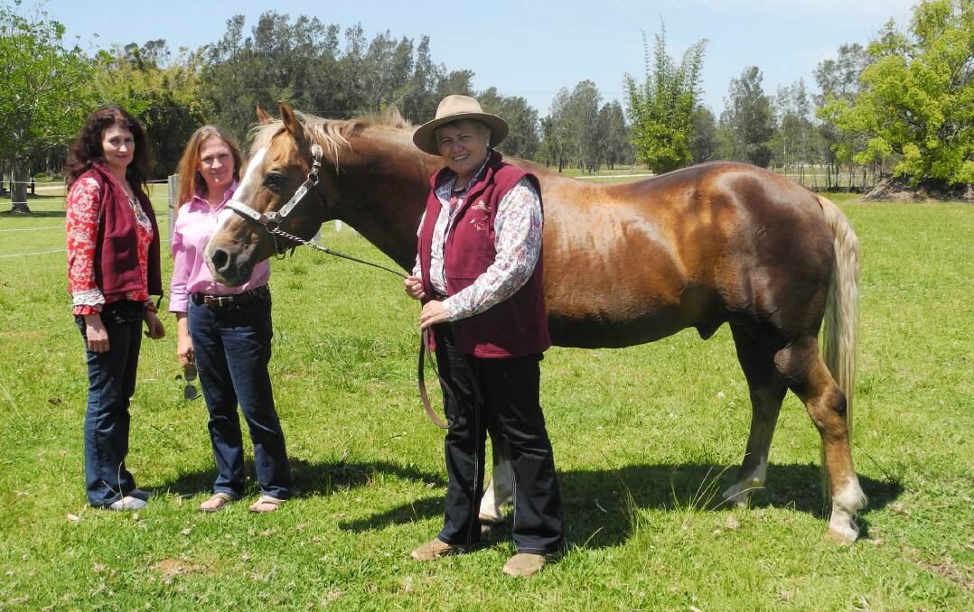 Organising committee members Louise Green, Leslie Moore and Carole Isaacs with 30 year-old quarterhorse stallion Murrumbo Gold Rustler