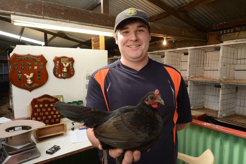 310 birds benched at pit game club annual show