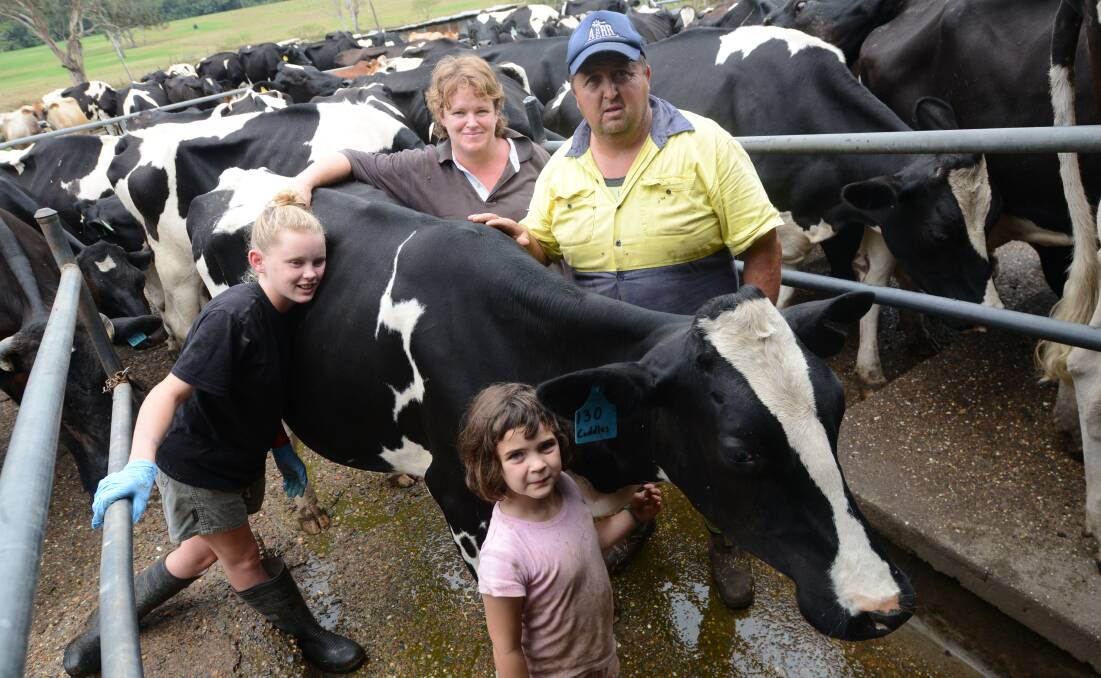 Jessica, Alison, Steve and Arley Germon with 'Cuddles' the cow at the family's dairy.