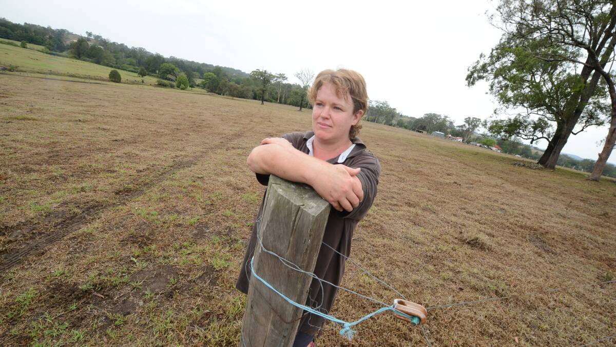 Manning Valley dairy farmer Alison Germon hopes for more rain