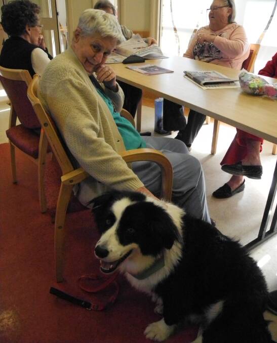 Therapy dogs making a difference in Wingham