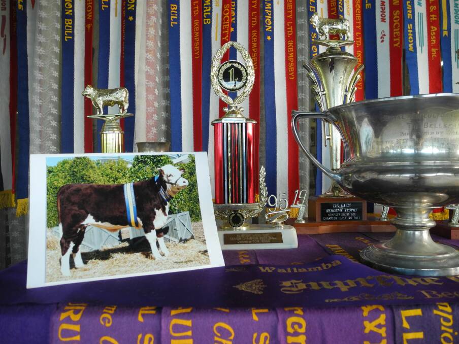 Part of the window display for Beef Week at Wingham Museum
