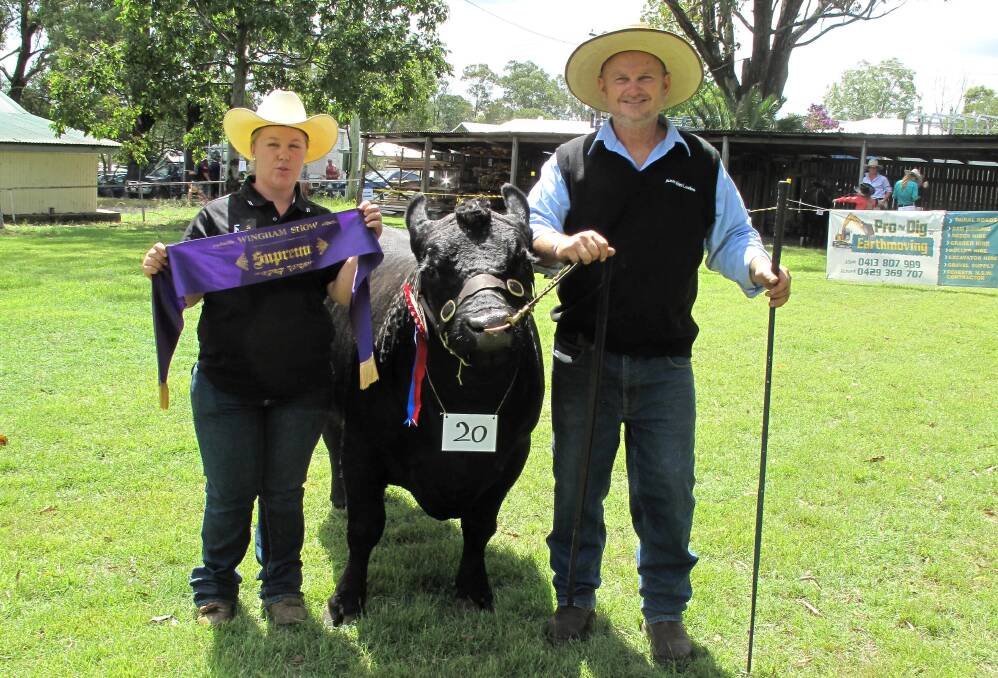Record junior cattle entries at show