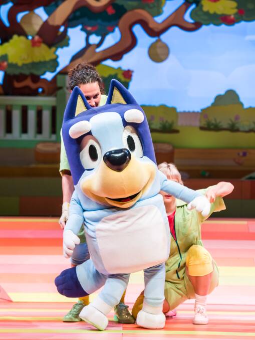 Bluey's Big Play, a theatrical adaptation of the popular children's television show, is coming to Taree.