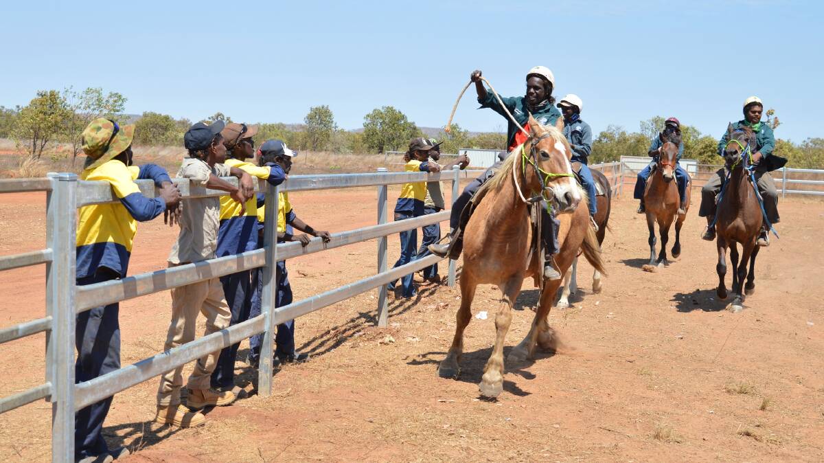 YEE HAH: After putting the finishing touches on the fabrication project, Roper Gulf Regional Council CDP participants watch Ngukurr School students try out their new horse yards. Picture: Roper Gulf.