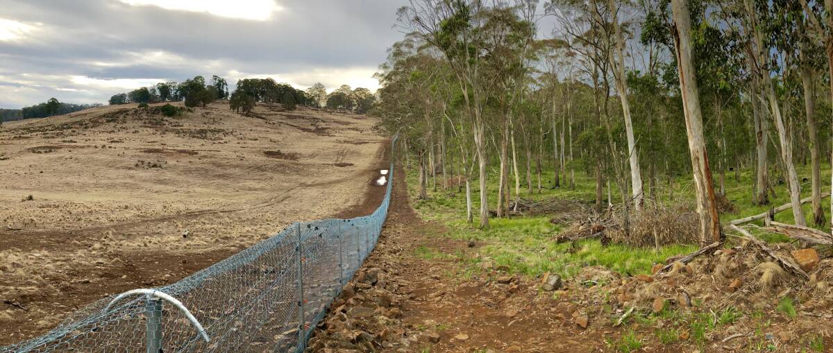 Protection: A fence at Aussie Ark in Barrington Tops that helps native animals to survive. Fences keep out feral pests and disease. 