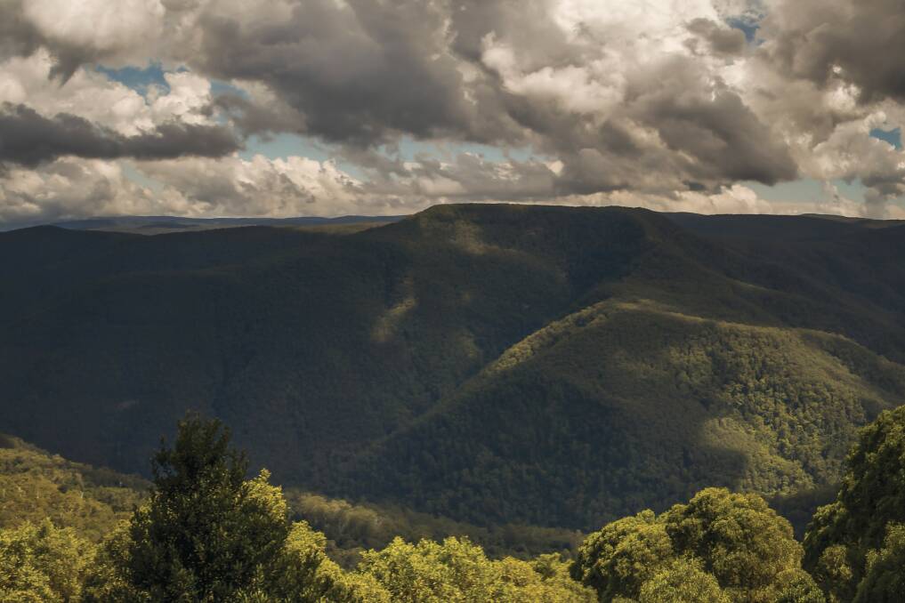 Thunderbolts Lookout in Barrington Tops National Park. Photo: John Spencer DPIE