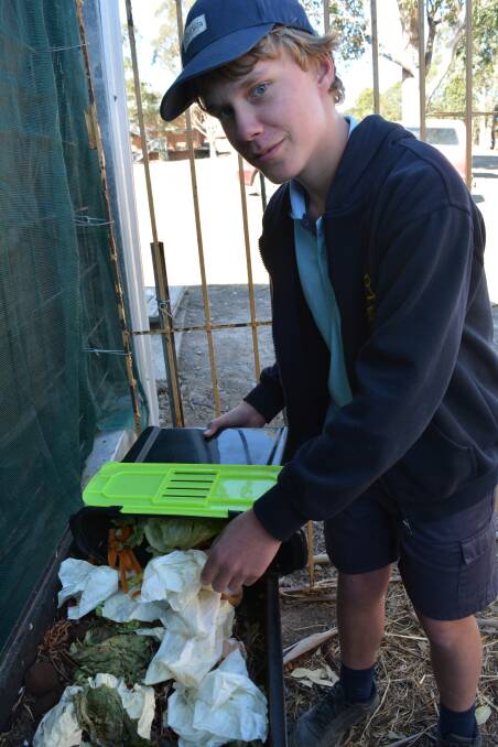 Luke Williams feeds the worms in the school's worm farm.