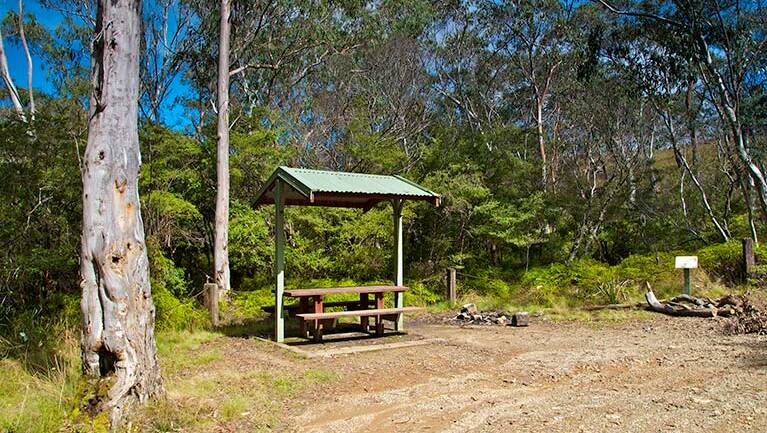 Park bench and shelter, Gloucester Tops picnic area, Barrington Top National Park. File photo