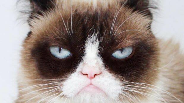 A grumpy phase seems to be a natural part of the human condition. Photo: Facebook
