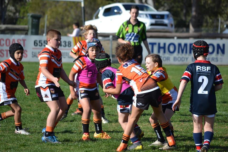 Wingham Junior Tigers playing with the small pink DonateLife logo on their shorts. Photo: Wingham JRLC
