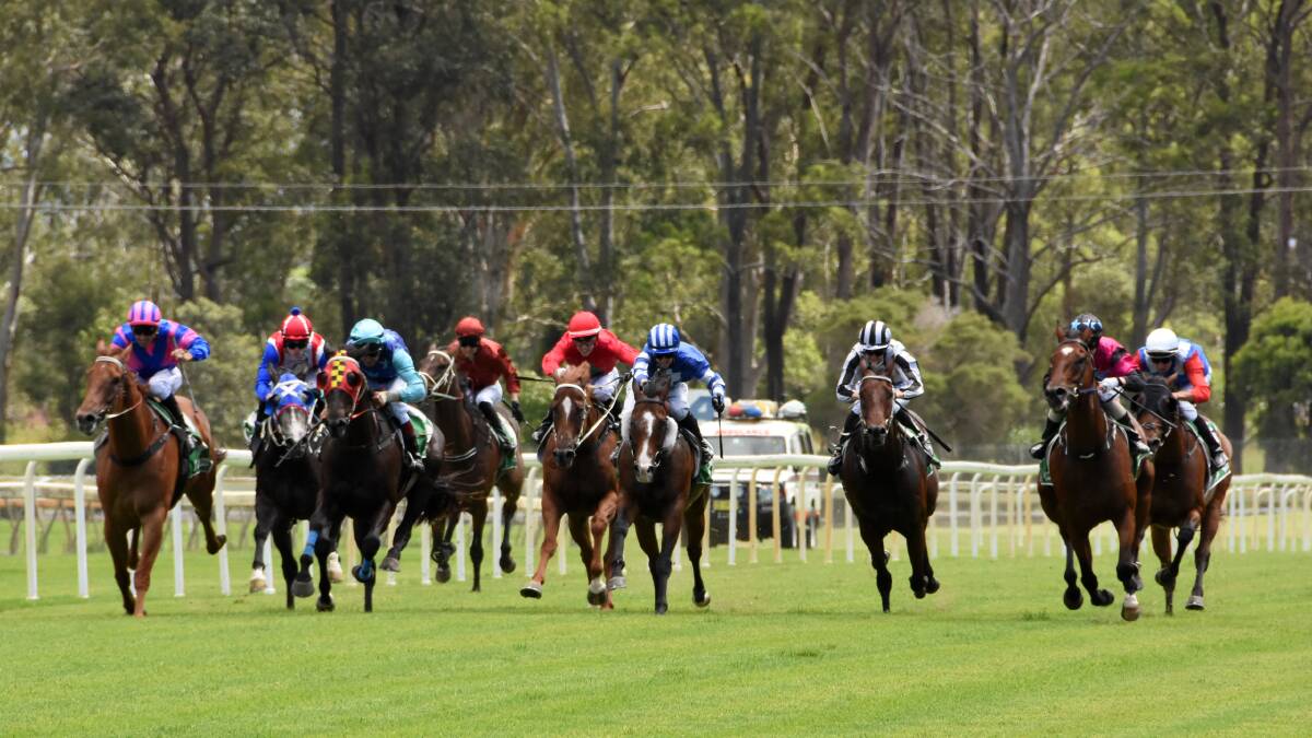 ​Trainer’s A Lot Like Home begins bid for Wingham Cup