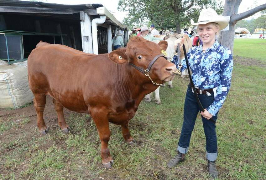 Program for all ages: Junior beef cattle enthusiasts will have the opportunity to qualify for the Royal Easter Show at the 2019 Wingham Show.