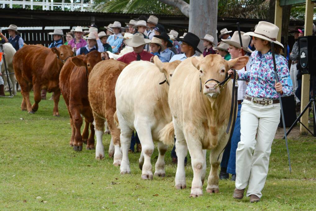 A unique event: Beef cattle enthusiasts won’t want to miss Wingham Beef Week.
