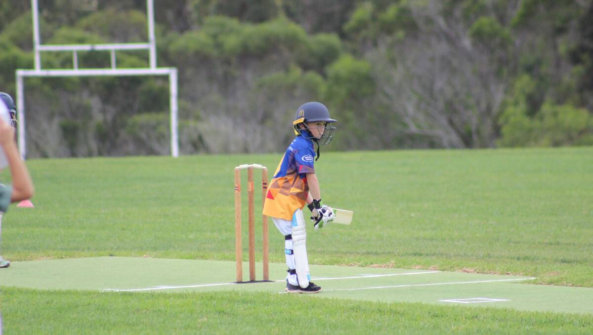 Sixers: Young Kobi Lucas picked up his first bowling wicket of the season. Photo: Dave Abbott