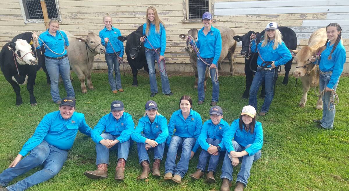 Popular team: Students of the Wingham High agriculture show team are well prepared to represent Wingham and play host to visiting schools for the 30th annual Beef Week.